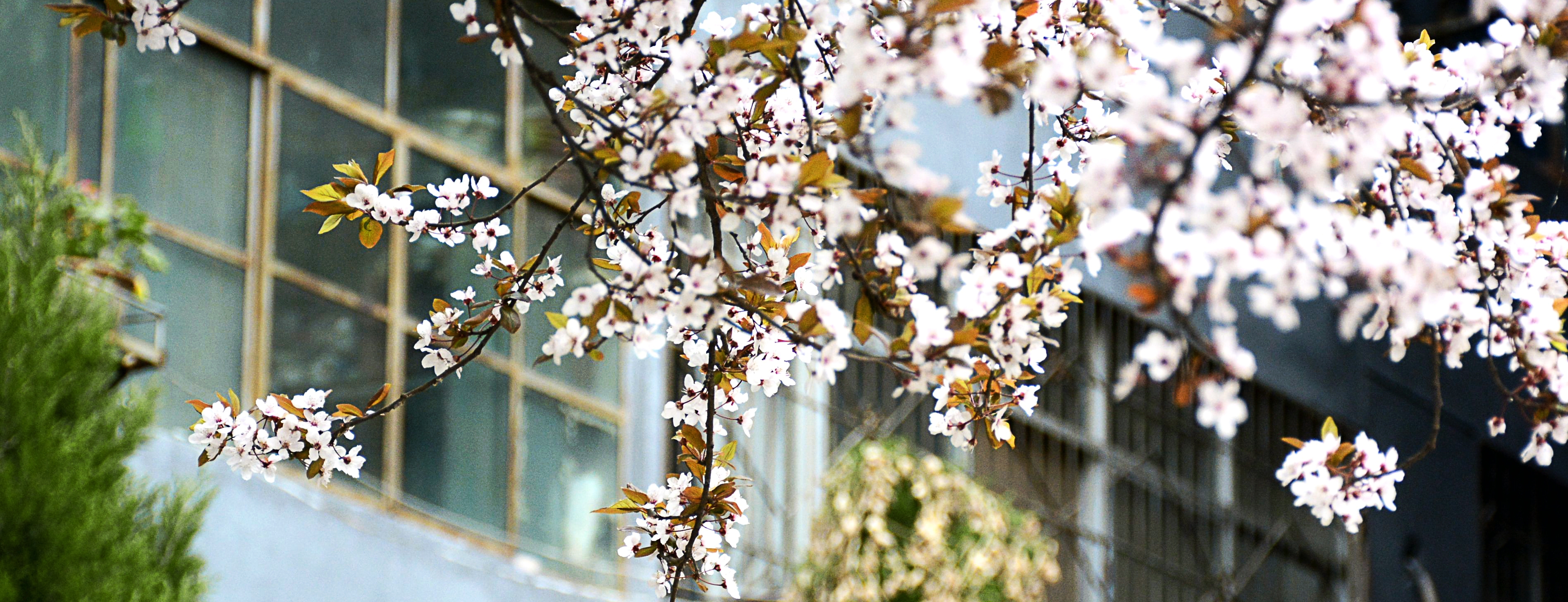 伟德体育官方网站