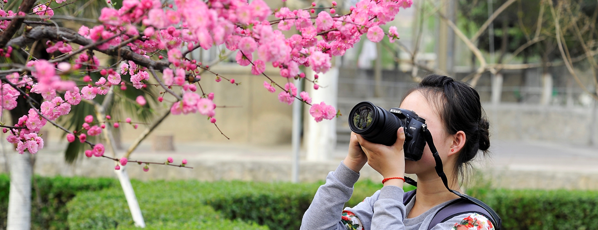 伟德体育官方网站